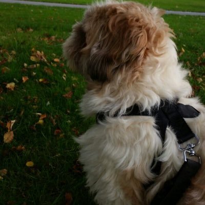 annemieke1972's profile picture. 