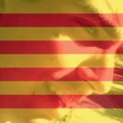 Quentin_Bhl's profile picture. #Català, #Régionaliste, #Européiste et #Écologiste, membre de l'association @agissons66, étudiant en Sociologie à @upvd1