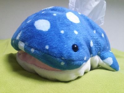 うた※おしまい！さんのプロフィール画像