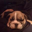 Heather Starnes - @Happystarnes - Twitter