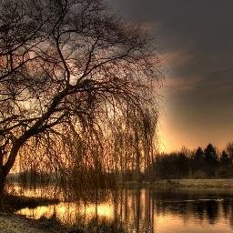 ViktoriyaSuvor5's profile picture. #ВзаимныйФолловинг