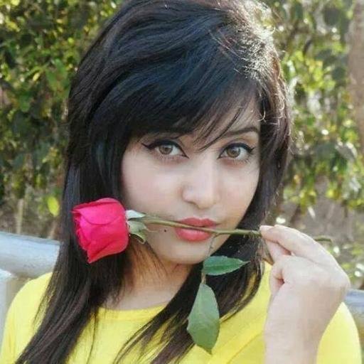 saijeshosi's profile picture. Artist