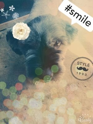 AkemyGeral12's profile picture. mi nombre es ajemy, soy muy carismatica y alegre, soy mediana y de tes morena