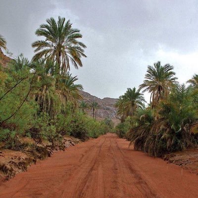حساب منكم وإليكم يهتم بالمعلومات عن حائل : أماكن ومناظر حائل ، أسواق ، عروض بيع وشراء ، استفسارات عامة