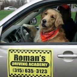 Owner/Operator of Roman's Driving Academy