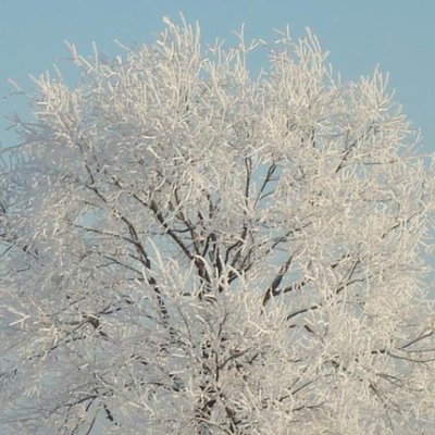 Анатолий Фролов