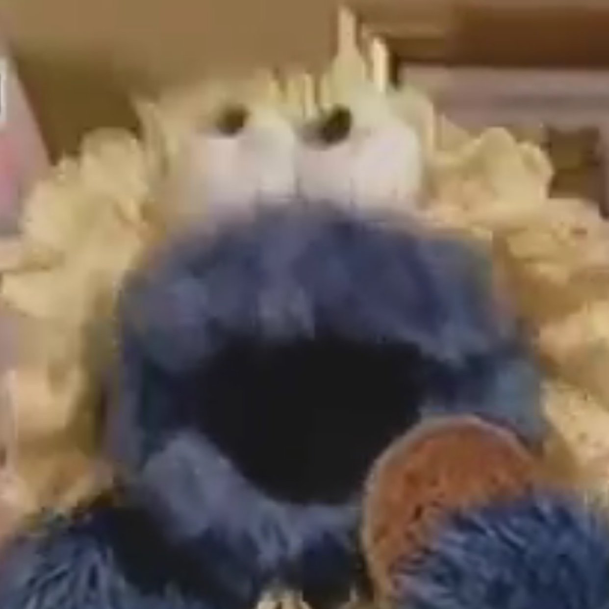 tag_borg's profile picture. お菓子を食べる人