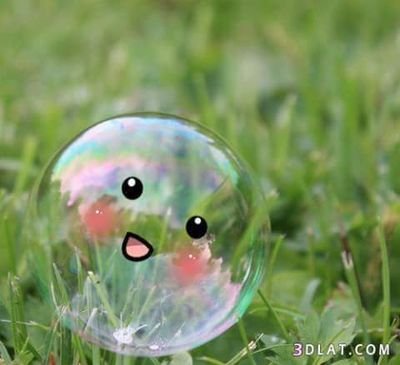 AOcs0h5249CKduh's profile picture. 