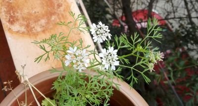 RaviJayaraman's profile picture. 