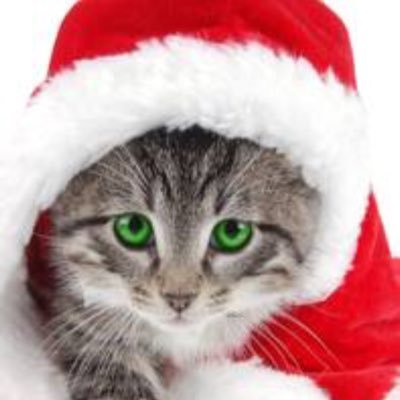 Abigail00838621's profile picture. 