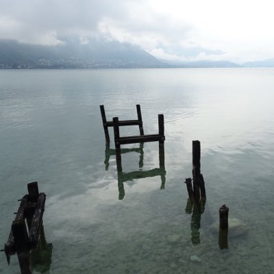 MooneNice's profile picture. 