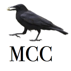 My Clever Crow Consulting, LLC - Creative Marketing Strategies
