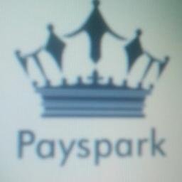 paysparkfintech's profile picture. 