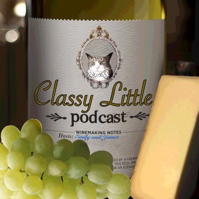 The podcast where we pick a different topic each week to talk about over #wine & #cheese! Cheers! #PodernFamily