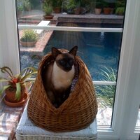 StevenHerbert (@stevenherbert) 's Twitter Profile