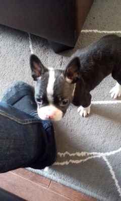 op1919's profile picture. Mari de la femme la plus extraordinaire au monde, Maçon, Enseignant, Papa x2, Coaching et Baseball.