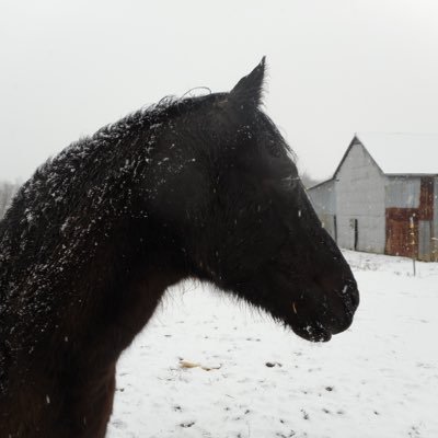 KikiCupil's profile picture. Tengo un costalito bien llenito de sueños y la gigantesca fe que tiene un pequeño tengo una confianza llena de esperanzas y también los pies en el suelo.