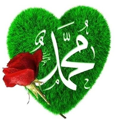 z6N4ZU4BRnEvgoT's profile picture. 