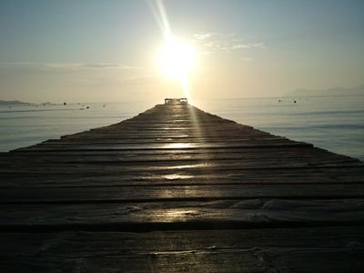 eternaZ4's profile picture. 