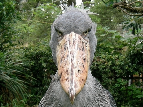 Moisturemilk_jp's profile picture. ネットコメンテーター