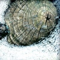 Zen Open Circle (@zenopencircle) 's Twitter Profile
