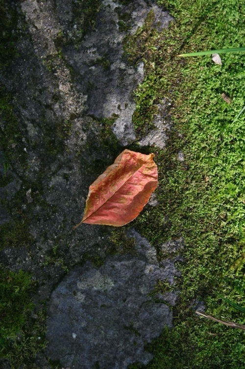 SHIKAKU_EMI's profile picture. こども園で働いてます。