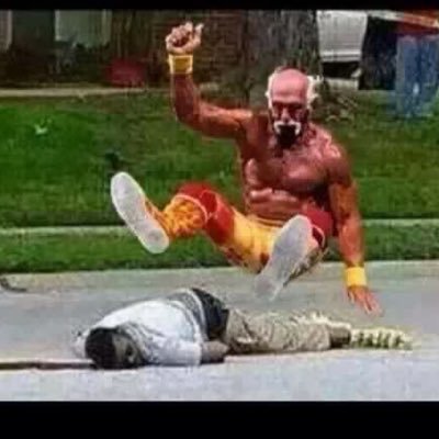 ISISTerrorPlots's profile picture. 