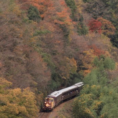 鉄道写真の撮影地を紹介するbotです。 撮影地までの所要時間はgoogleマップを参考にしています。 撮影地ではルールを守って撮影してください。