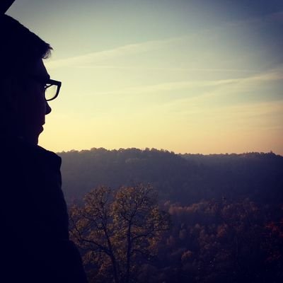 Timotejs_Mednis's profile picture. 