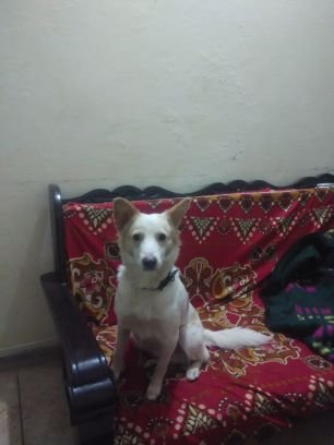 Rinkuku61754745's profile picture. 