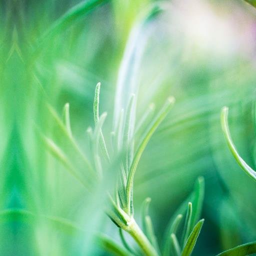 WiseWZH's profile picture. 