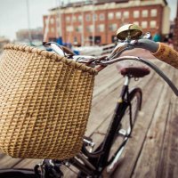 Bonn #inside (@stadtbonn) 's Twitter Profile