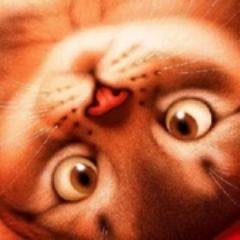 OZefirova's profile picture. 