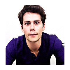 siga @prettywolfliar