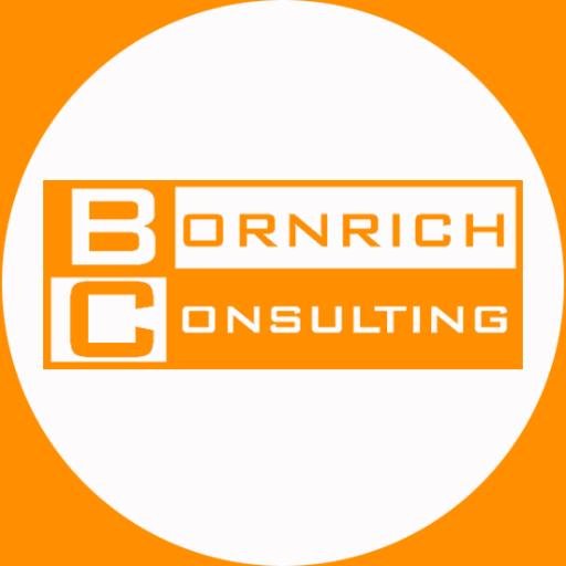 bornrichconsult Profile Picture