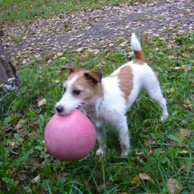 marikoby26's profile picture. フィギュアスケートと旅行とバレエと仏像鑑賞が趣味。昌磨ち草太君璃士君✨バレエは新国立劇場のプリマ米沢唯ちゃん速水涉悟君💕