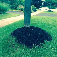 Urban Forest Crimes (@urbforestcrimes) 's Twitter Profile