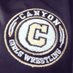 CHS Girls Wrestling (@chsgirlswrestle) Twitter profile photo