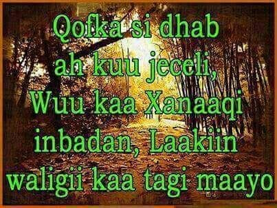 NuraHuda3's profile picture. 