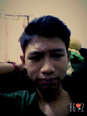 natanfrees's profile picture. 