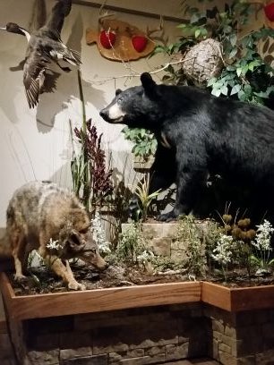 Mtwc_Hunter's profile picture. 