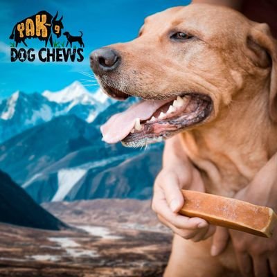 Yak-9 chews are an all-natural, hard yak cheese made from 100% yak milk- no added ingredients. Our chews originate from the high altitude Himalayan mountains.
