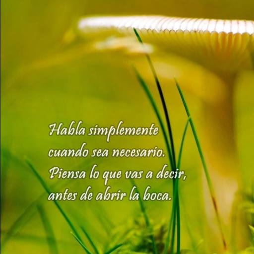 natzaragoza's profile picture. Let it flow..