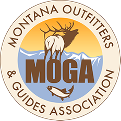 Our Mission:  To protect, enhance and effectively represent the Montana Outfitting Industry in all its forms.
