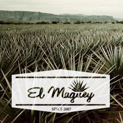 Here at El Maguey we are committed to excellence in guest satisfaction. We are known for not only our lime margaritas but also for our variety of flavors.