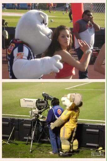 DocmaEnrique's profile picture. 