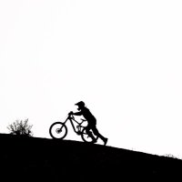 Cameron McCaul (@cammccaul) 's Twitter Profile