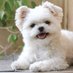 ike (@ike99998471) Twitter profile photo ike (@ike99998471) Twitter profile photo