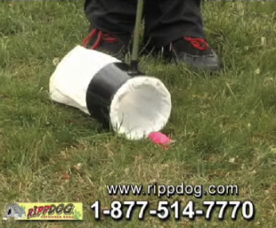 RippDog's profile picture. No more bending and scooping. The Ripp Dog Retriever is the one motion, no mess dog scooper. Destined to be #1 in Number Two!