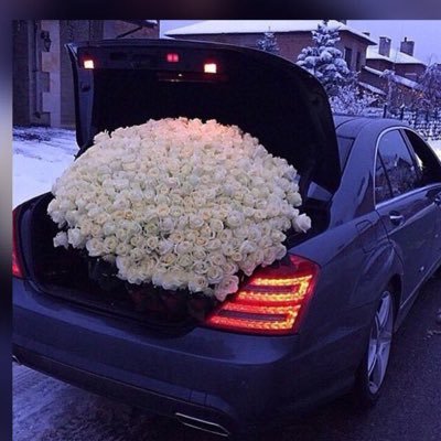 AngelfatimaYa's profile picture. 